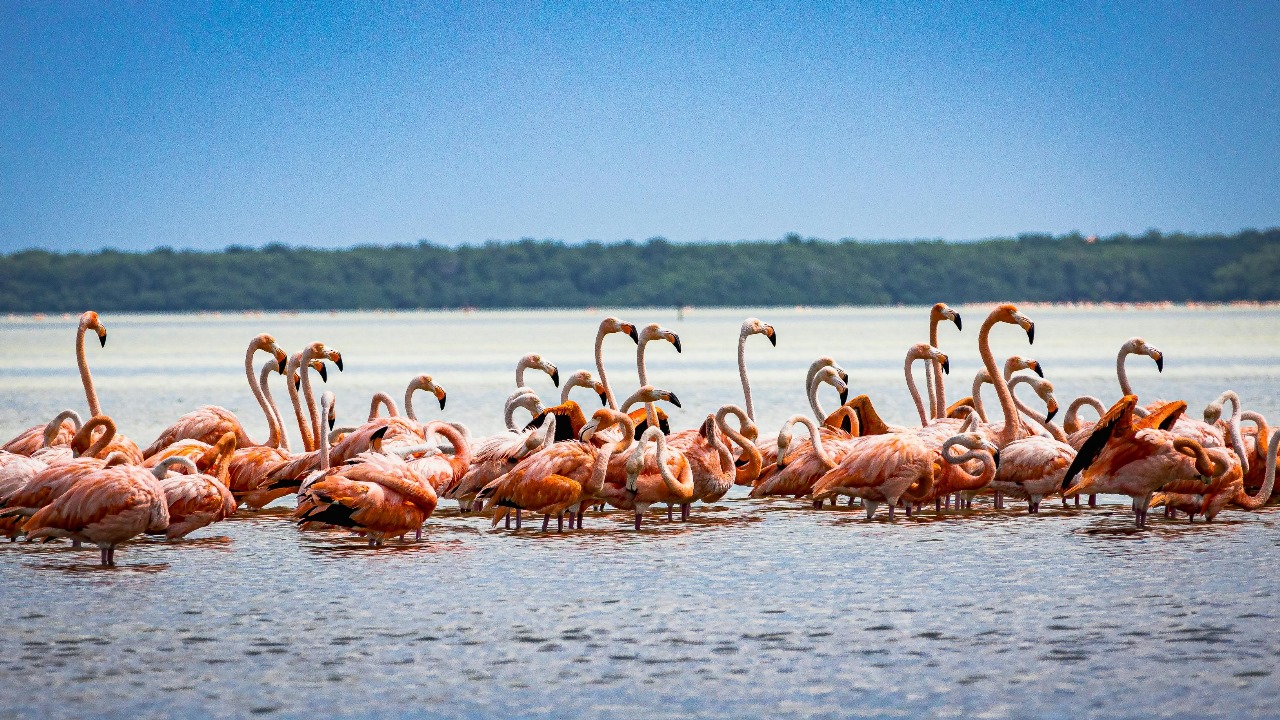 Lake Nakuru