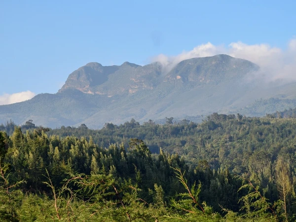 elephant hill and forest on the Aberdare ranges seen from a far on a sunny day