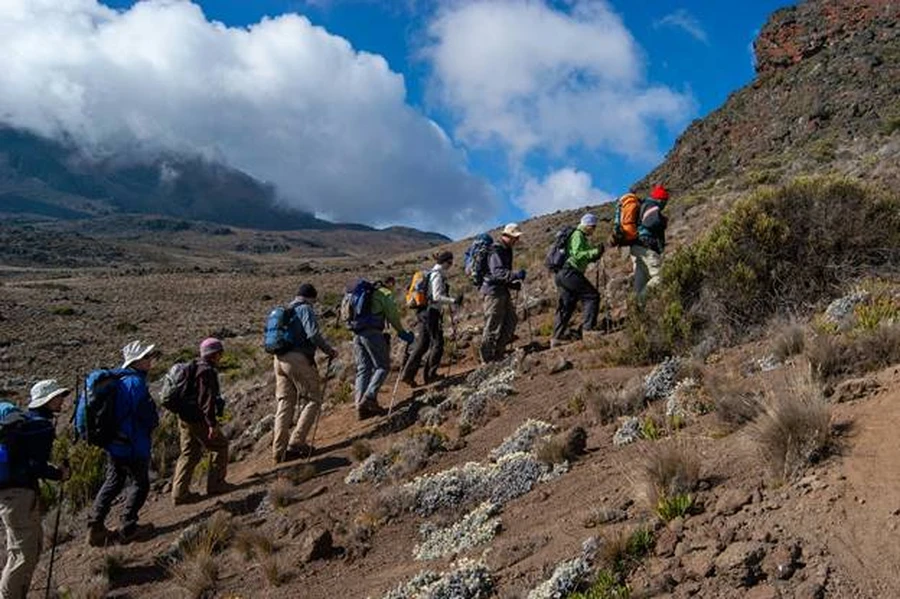 A Mount Kilimanjaro hiking group with gear trekking on a gradual slope in the vast Shira plateau. 