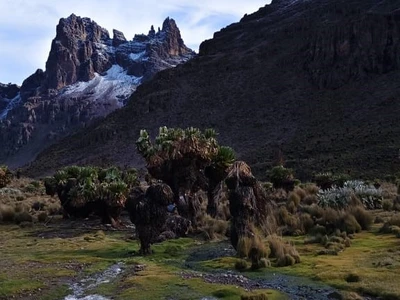 6 Days Burguret Chogoria Transverse — the Chogoria Route on Mount Kenya, on the ascent.