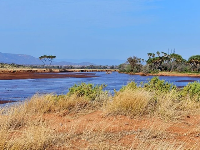 The Ewaso Nyiro river in Samburu National Reserve