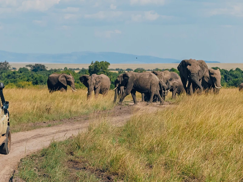 Climb Mount Kenya in 5 days Via the Chogoria-Sirimon Route