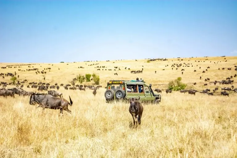Maasai Mara National Reserve – Kenya’s Premier Safari Destination