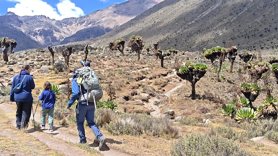 Guide to Mount Kenya Trekking with Kids, Teenagers, and Students