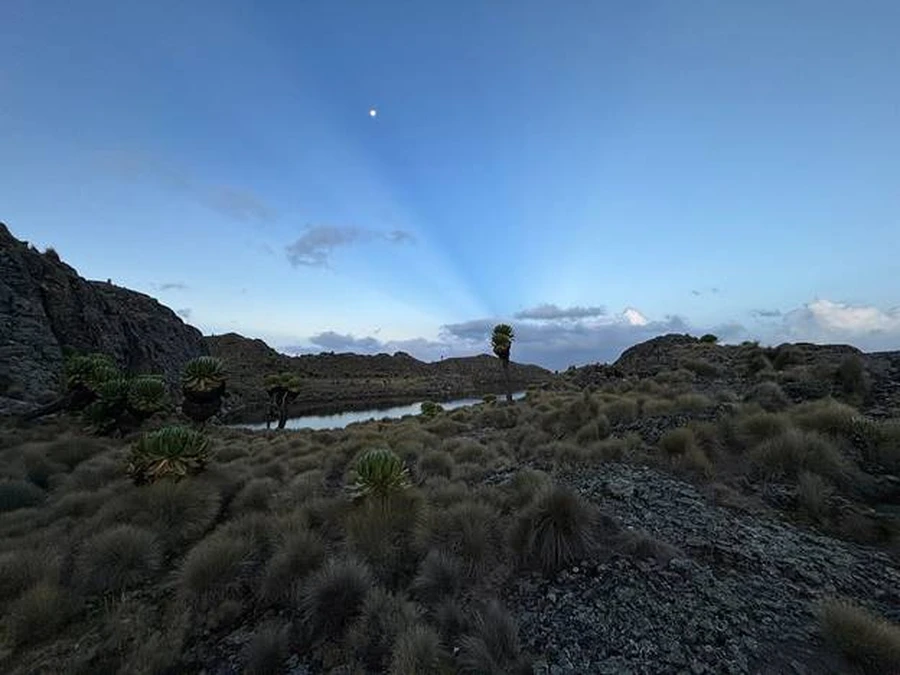 Mt Kenya lake surrounded by moorland bushes and lobelia trees during sunset, evening star visible