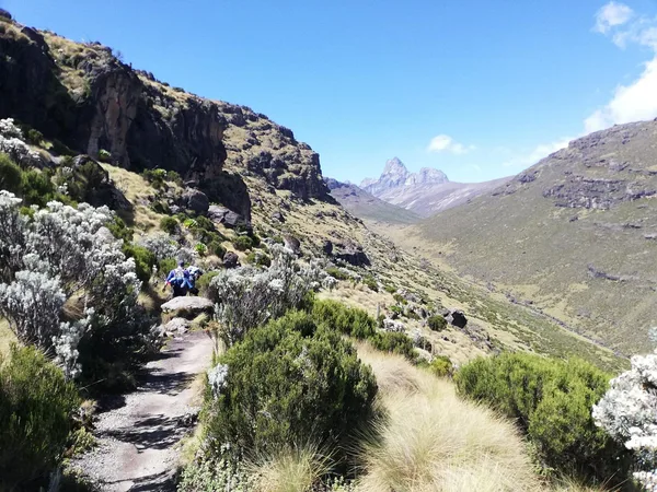 Hikers trekking Mount Kenya to Point Lenana on a sunny day with the peaks in the distance ahead