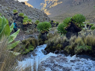 Mount Kenya technical climb Batian Chogoria Sirimon 7 Days — Batian peak via the Sirimon Route near the summit.