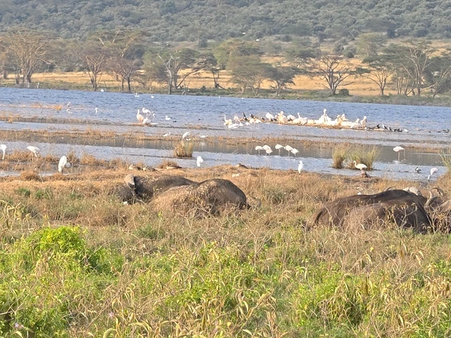 Lake Nakuru
