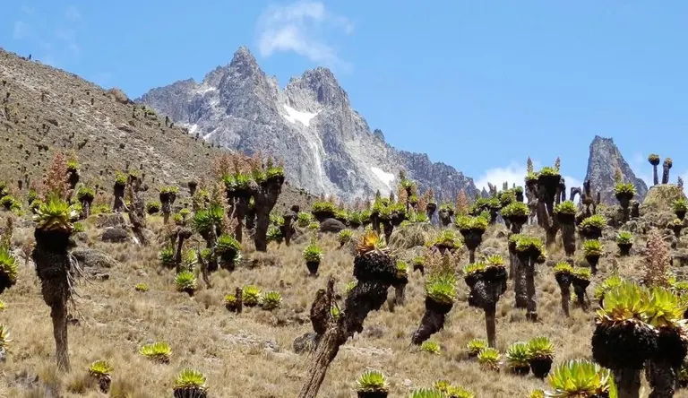 Hiking Mount Kenya in 4 Days Via Chogoria-Sirimon Route