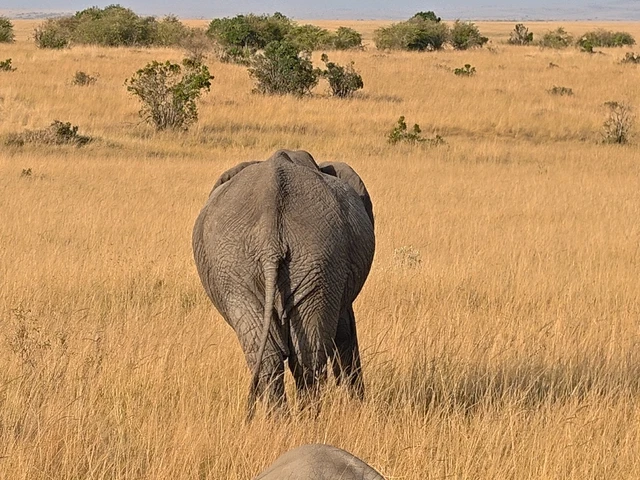 Samburu National Park