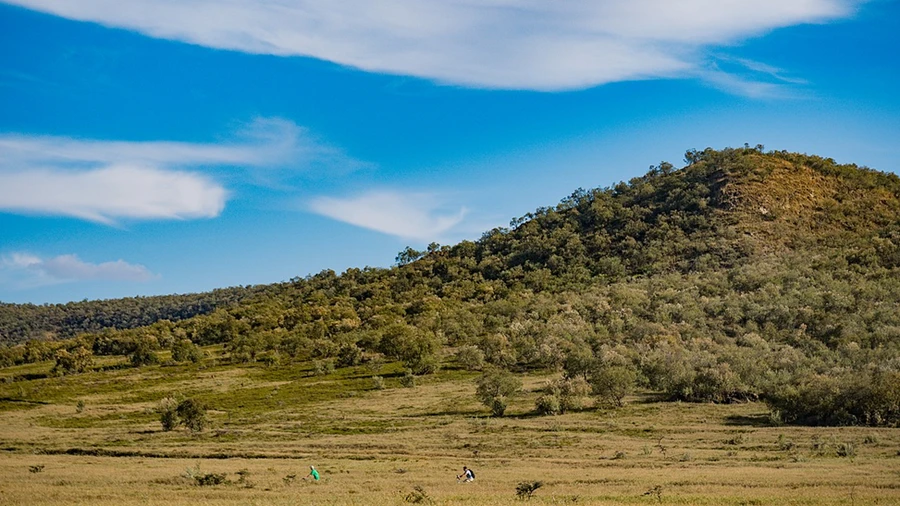 A hill covered with savannah trees and grasslands in Hell’s Gate National Park on a sunny day