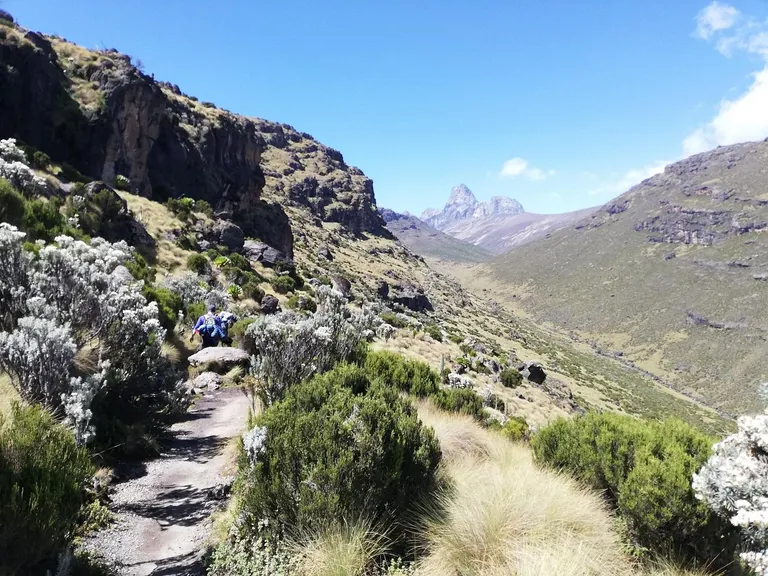 Mount Kenya Trekking Routes: Complete Guide on Mt Kenya Trails