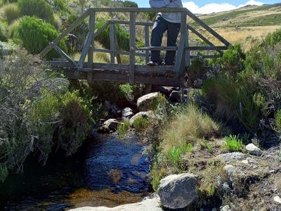 Chogoria Sirimon Mount Kenya tour