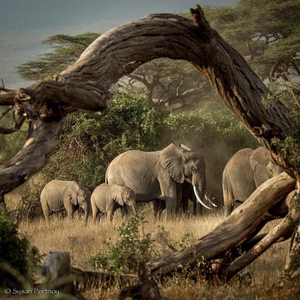 Samburu National Park