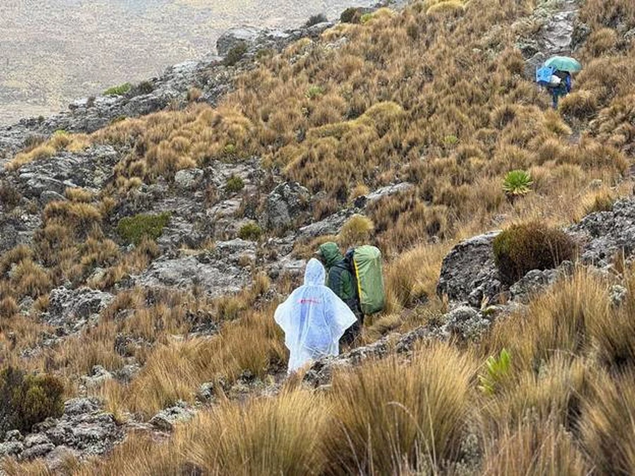 Hikers and porters navigating the muddy trails of Mount Kenya during the rainy season