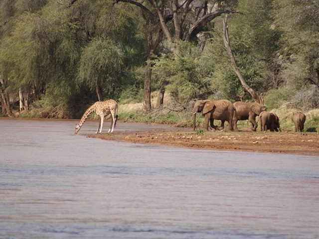 Explore the stunning wildlife rich landscape of Samburu Park