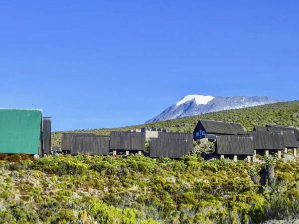 Cabins along Marangu route for hikers trekking Mount Kilimanjaro, blue sky, and snowcapped peak