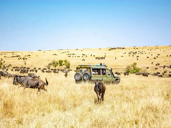 Maasai Mara National Reserve – Kenya’s Premier Safari Destination