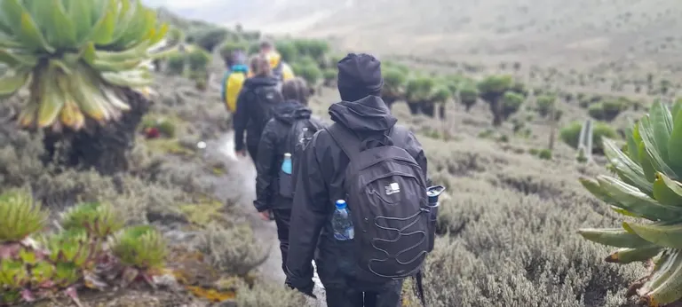 Climbing Mount Kenya in 4 days Through Sirimon Route