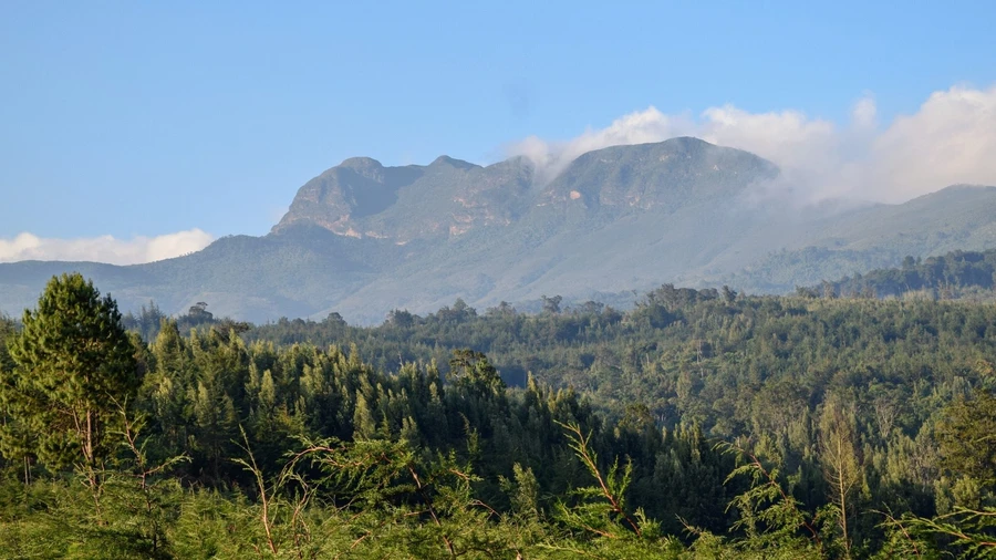 elephant hill and forest on the Aberdare ranges seen from a far on a sunny day