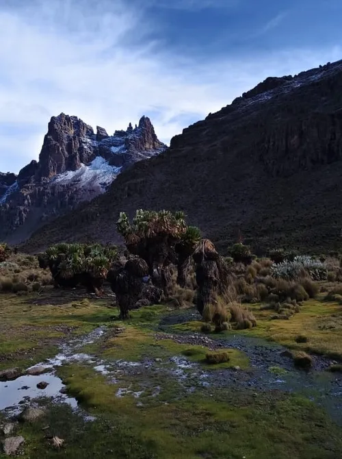6 Days Burguret Chogoria Transverse — the Chogoria Route on Mount Kenya, on the ascent.