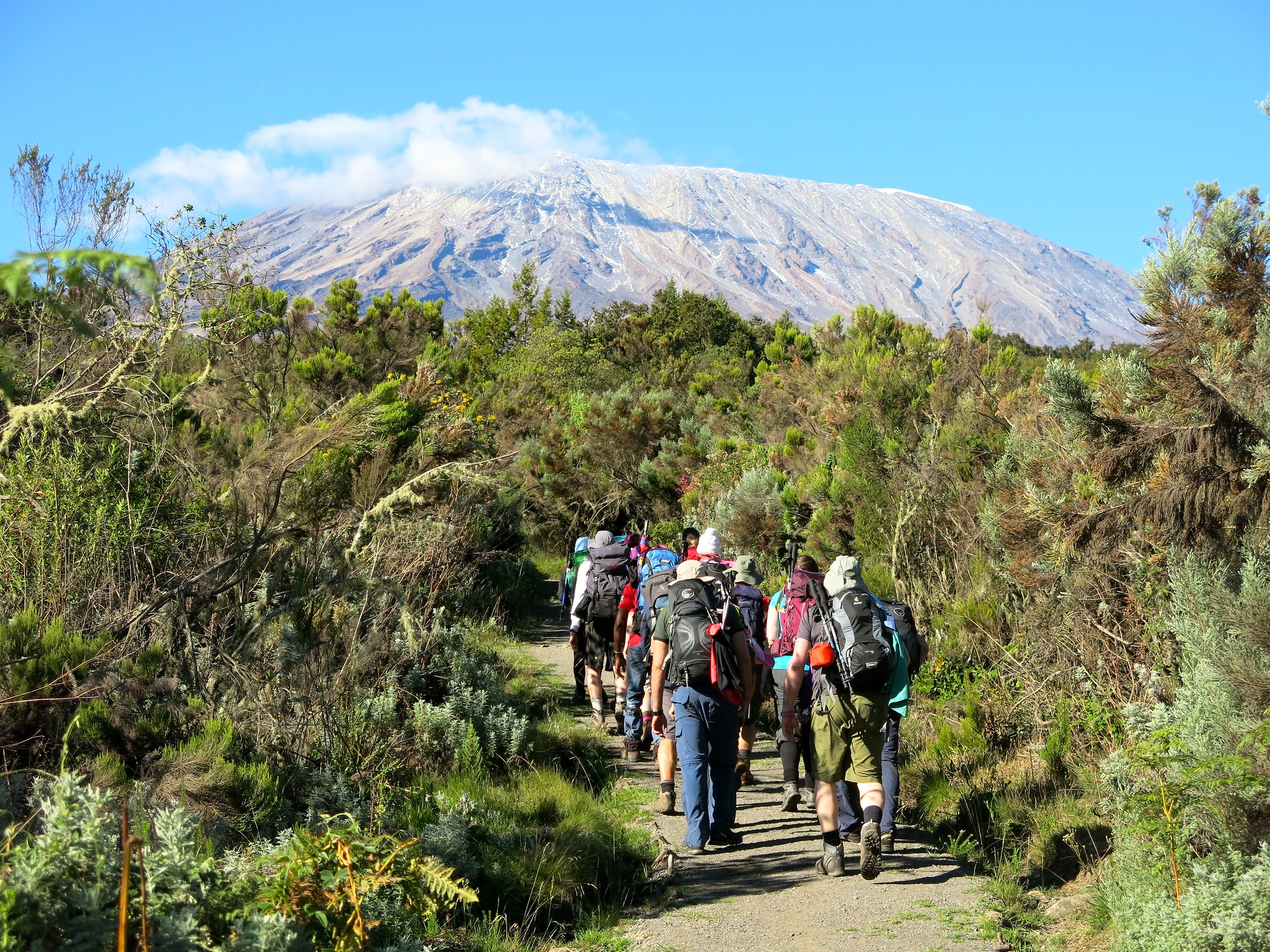 Mount Kilimanjaro