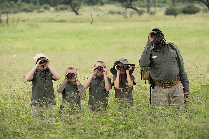 Tours & Safaris