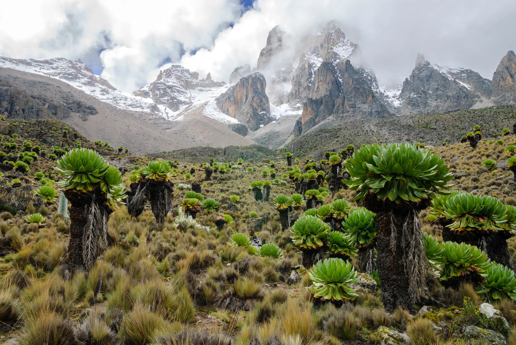 Mount Kilimanjaro