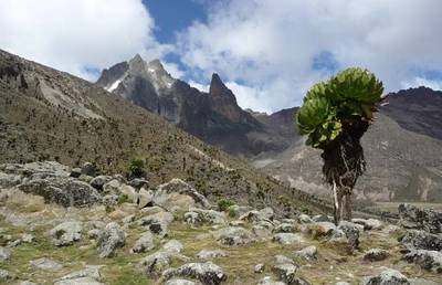 four days naro moru route image 3
