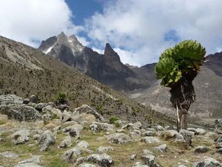 four days naro moru route image 3
