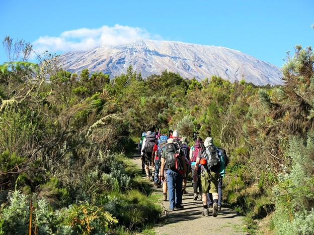 Mount Kilimanjaro Lemosho Route