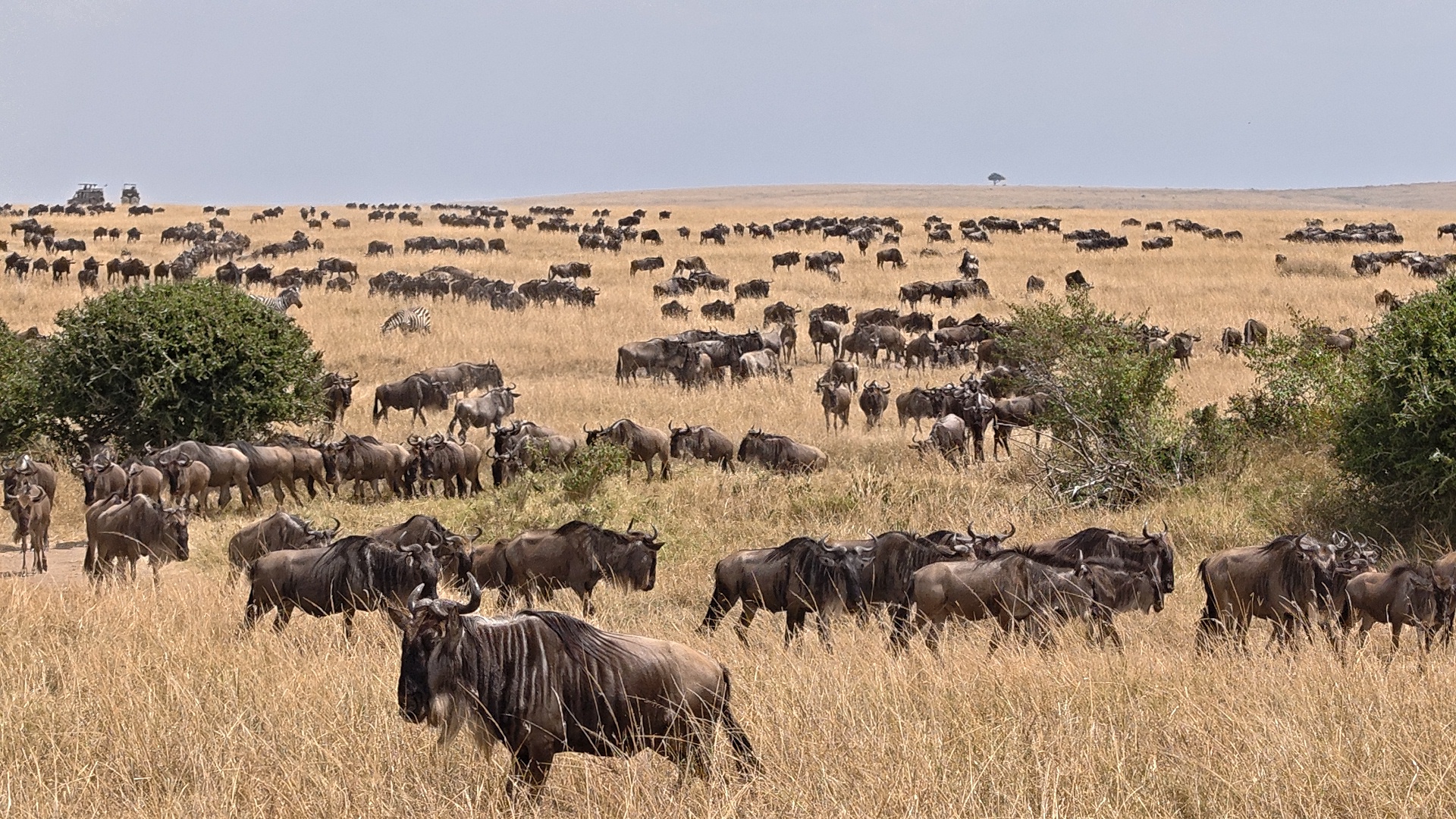 School Safari & Adventure Trips