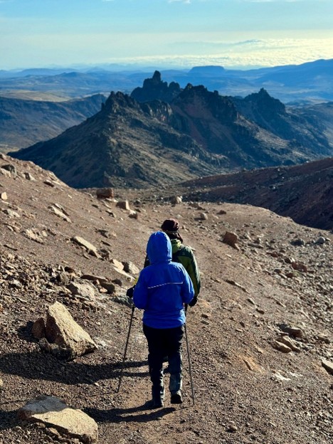 Hiking Poles