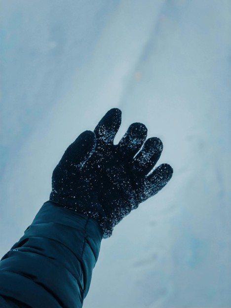 Warm Mittens