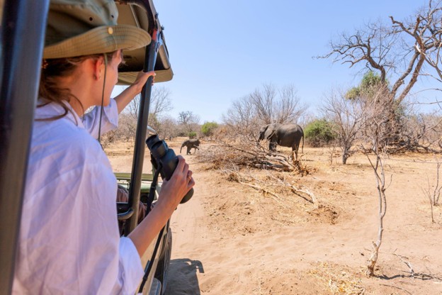 Safari traveller holding binoculars and looking at elephants in the Kenyan savannah