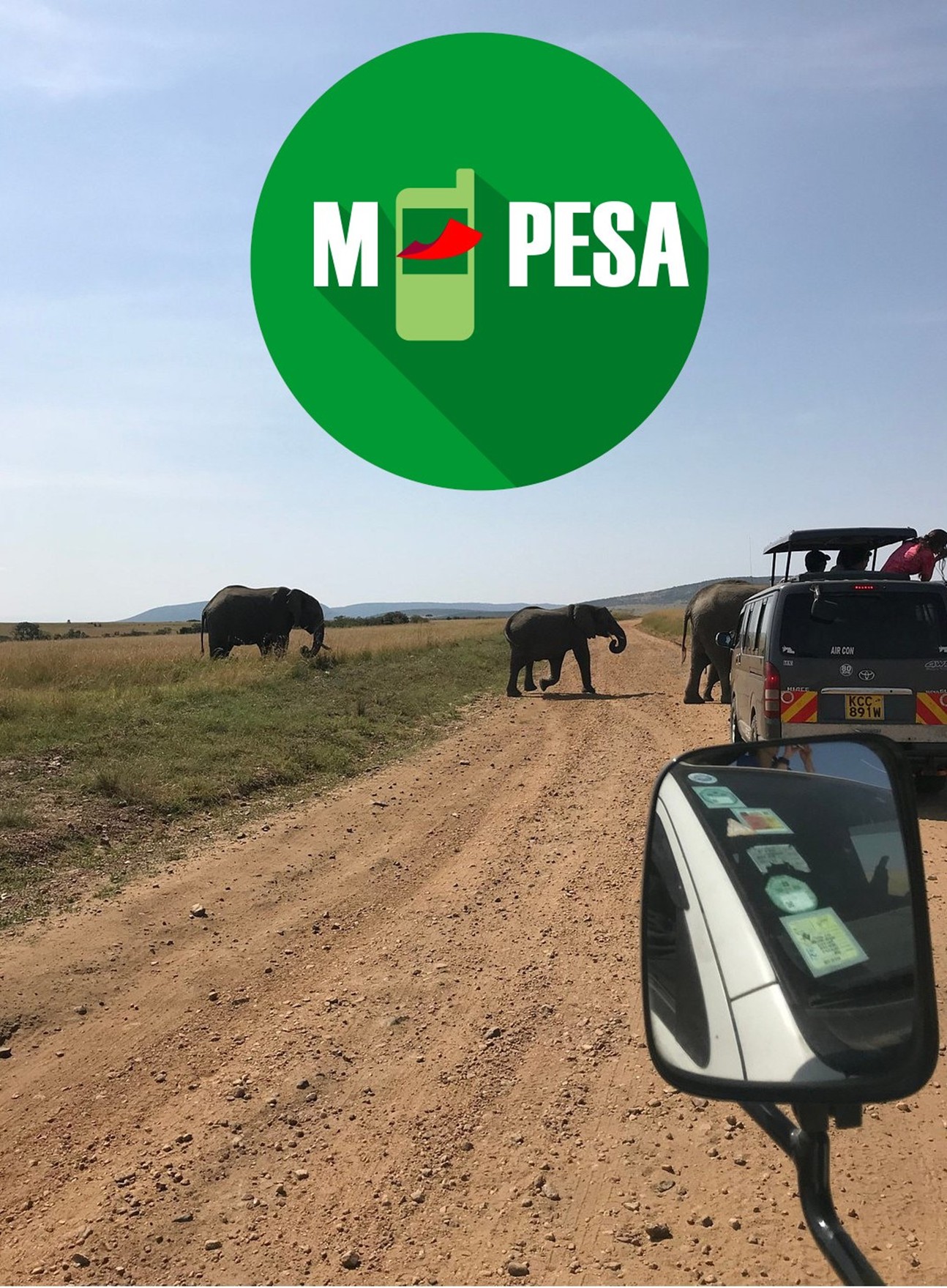 Safari vehicles with tourists viewing an elephant crossing