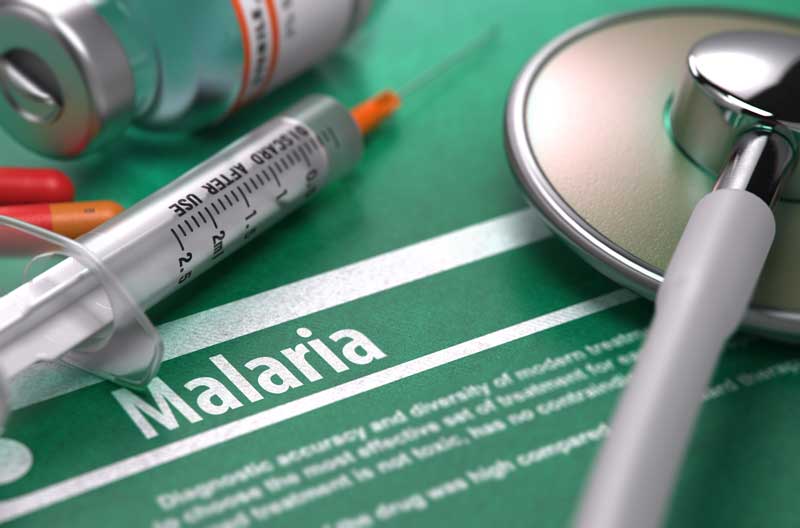 Malaria Prevention Preparation