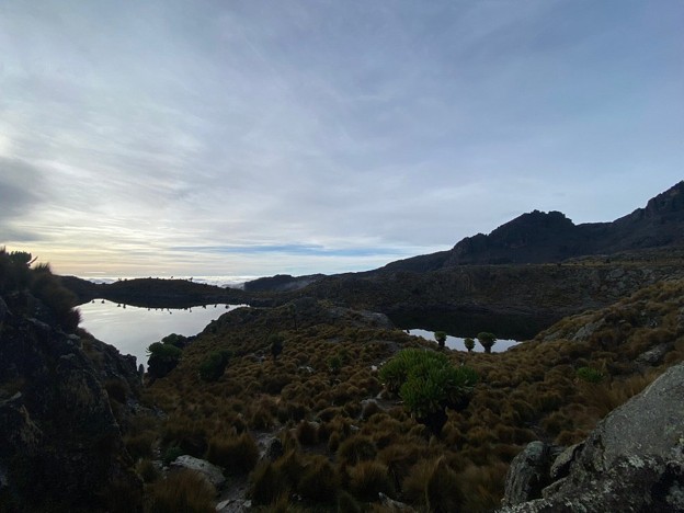 A mountain lake on the moorland zone of Mount Kenya surrounded by shrubs and giant groundsel trees
