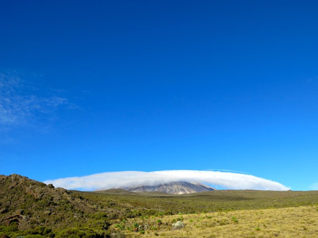 Shira Plateau with grassland and moorland vegetation, Uhuru peak in the distance covered by a cloud